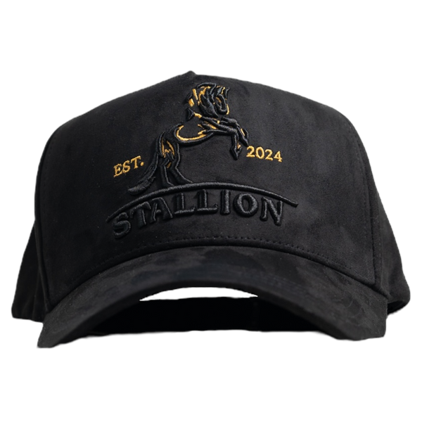 GOLD STALLION